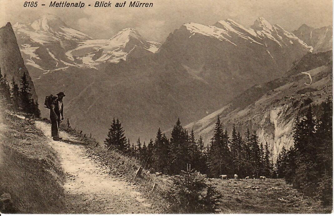 Cartoline postali: Mettlenalp - Blick auf Mürren – Usato da Hochdorf venduto da Ziegel-16