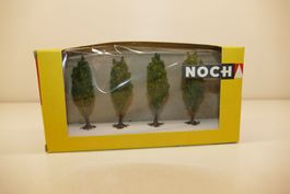 Noch N: 4xPappeln Bäume