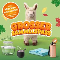 Coop "Grosser Sammelspass"  -  1 volle Karte (40 Marken)
