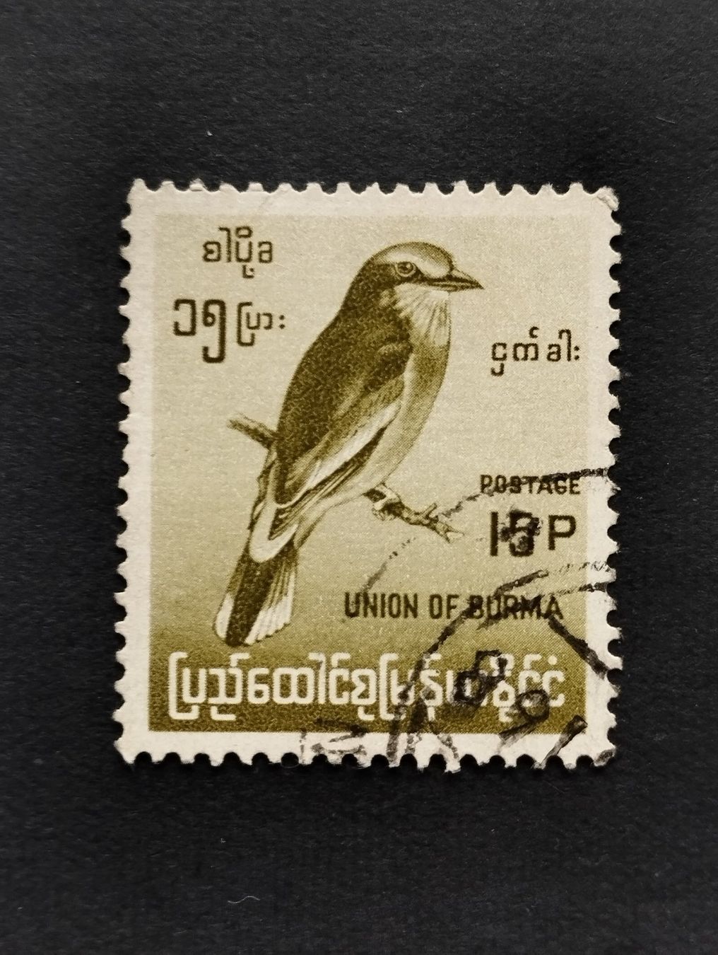 Alle Briefmarken: Myanmar - Vogel – Gebraucht aus Villars-sur-Glâne von MiguelDelgado