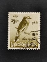 Myanmar - Vogel
