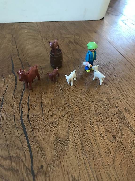 Giocattoli: Playmobil Hühnerstall – Usato da Romont BE venduto da chrinou 2