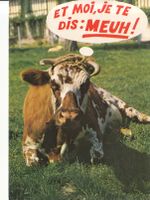 Animaux Humoristiques (5), um 1970