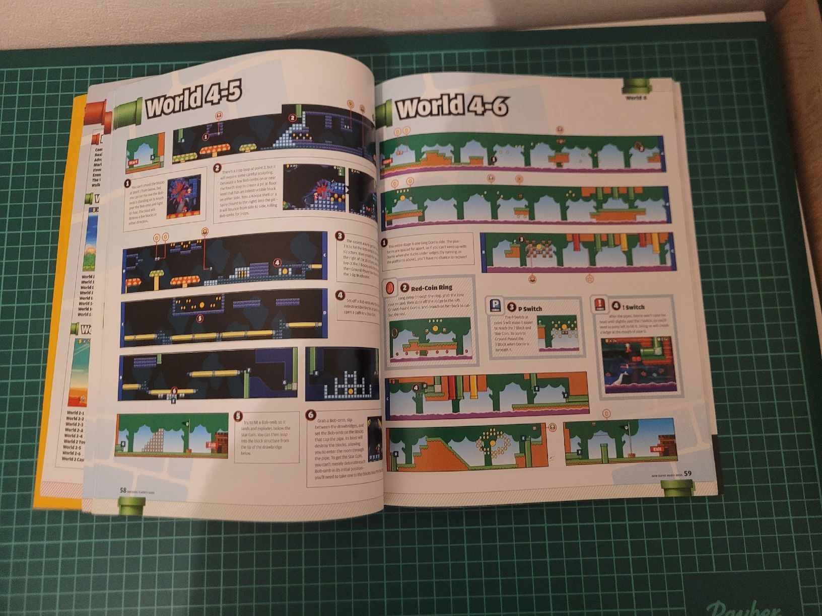 Nintendo Spiele: New Super Mario Bros. DS: Official Guide Book - Nintendo – Gebraucht aus Meyrin von Retro-GZ 1