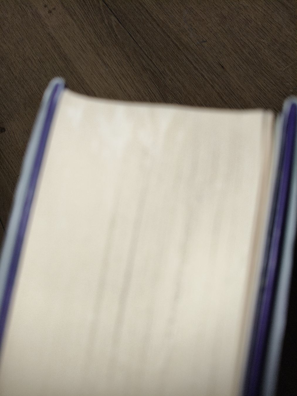 Libri: 13 Bücher Fantasy Paket  – Usato da Lichtensteig venduto da totoaxv 7