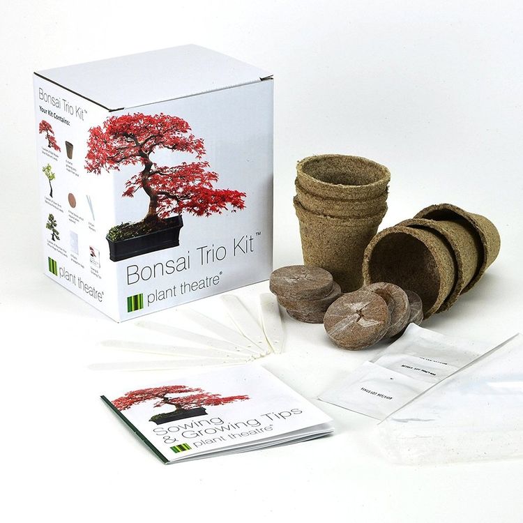 Bonsai Trio Kit von Plant Theatre Kaufen auf Ricardo