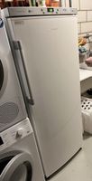 Gefrierschrank Bauknecht No Frost Care A+