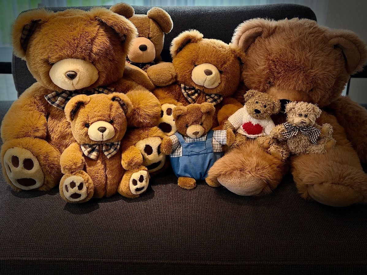 Giocattoli: Teddybär-Paket, 8 Stück – Usato da Wilderswil venduto da Laska12 1