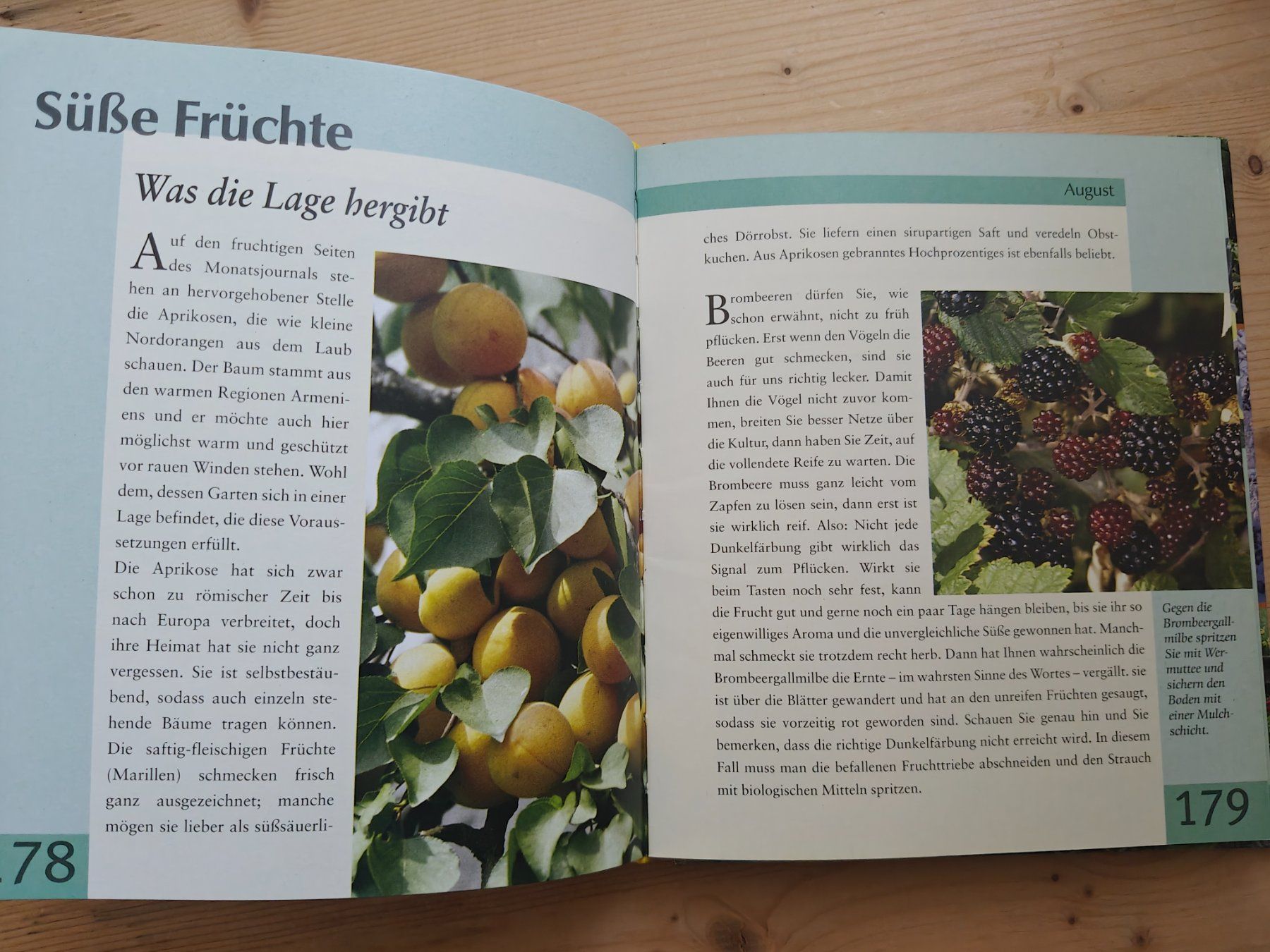 Bücher: Gartenkalender / Ratgeber - jeden Monat einzeln – Gebraucht aus Muttenz von IkaSul 2