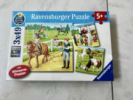 Ravensburger puzzle horses 3 x49 new