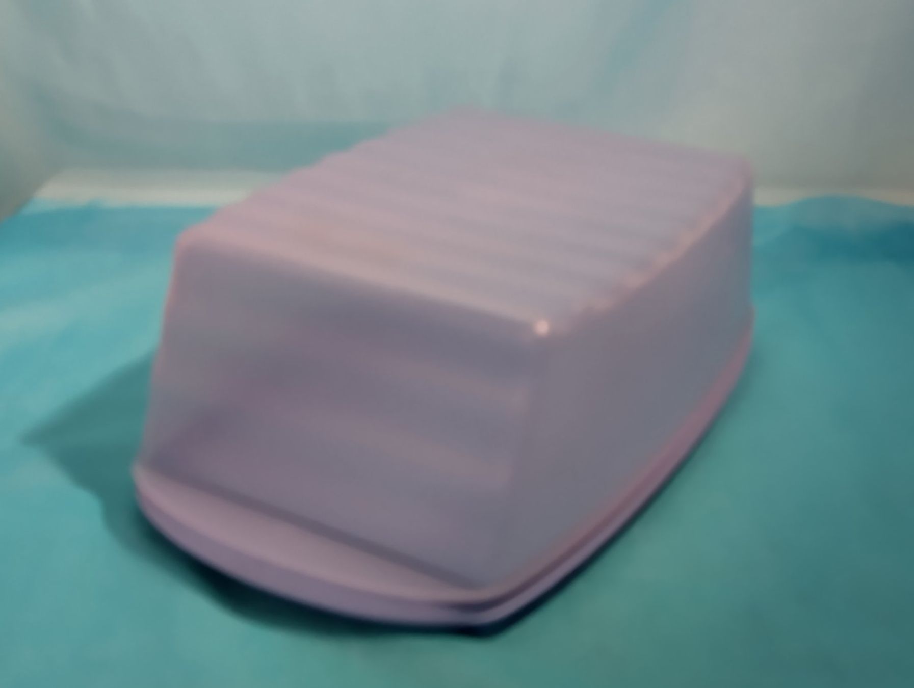Tupperware Contenitori & Simili: Tupperware Impressions-Box für Kuchen oder Brot – Nuovo (secondo la descrizione) da Bellach venduto da JingleCherry 1