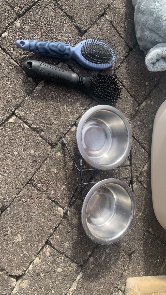 Liege- & Schlafplätze: Katzen Zubehör Set – Neu (gemäss Beschreibung) aus Hindelbank von hirzel02 4