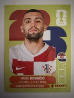 Panini CRO 10