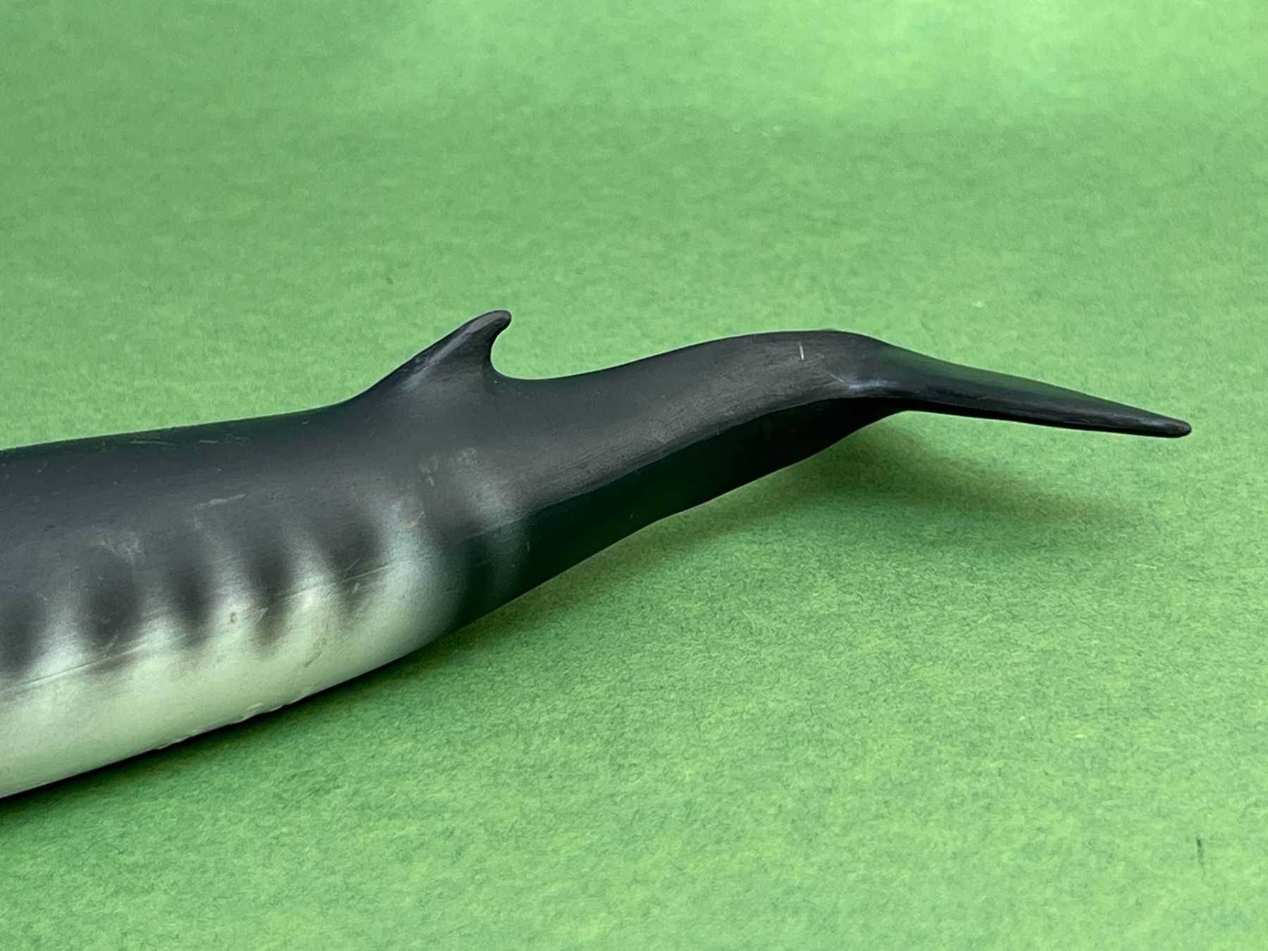 Schleich Statuette: SCHLEICH 16087 - Zwergwal Wal 1:32 – Usato da Ennetbaden venduto da mapa05 5