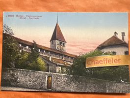 Alte Ansichtskarte Murten - Festungsmauer, guter Zustand