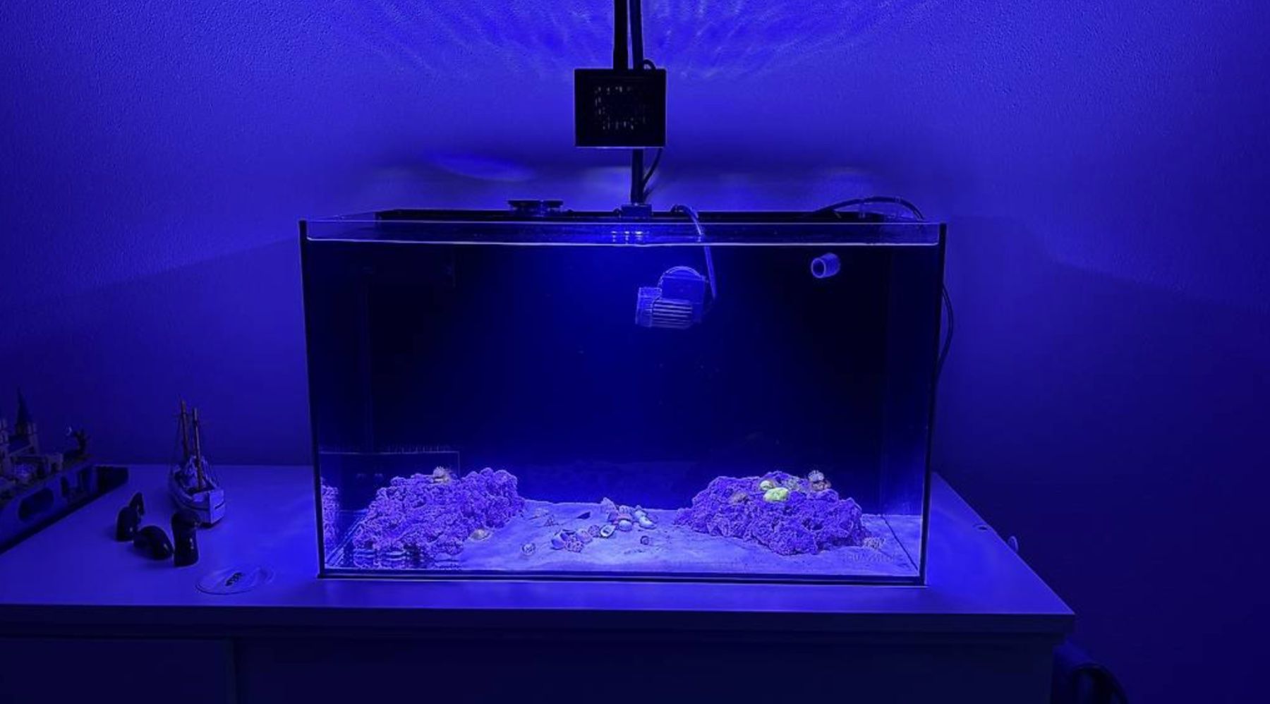 Acquari: Meerwasser Aquarium Starter Set – Usato da Vordemwald venduto da ric_m6vq