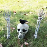 Helloween Deko Schädel / Knochen