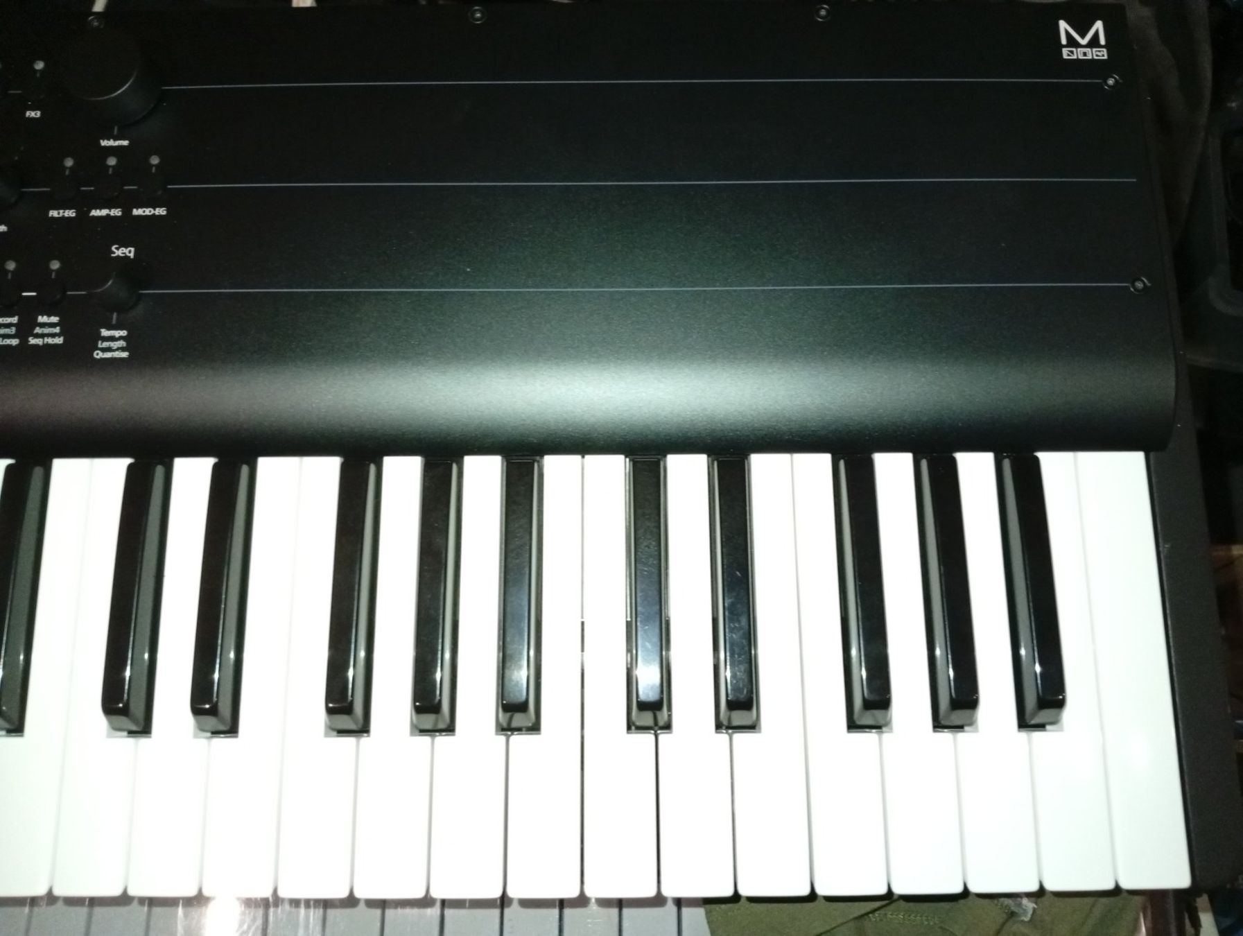 Modal Electronics Strumenti musicali: Modal Electronics Argon8 X 61Tasten – Usato da Zénauva venduto da Alois6 3