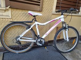 Damenfahrrad 26 Zoll-Weiss/Pink