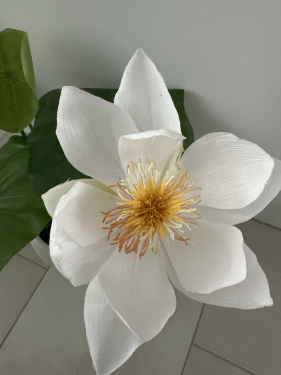 Piante & sementi: 2x Kunstblumen grün / weiss – Usato da Zug venduto da Hehe 2