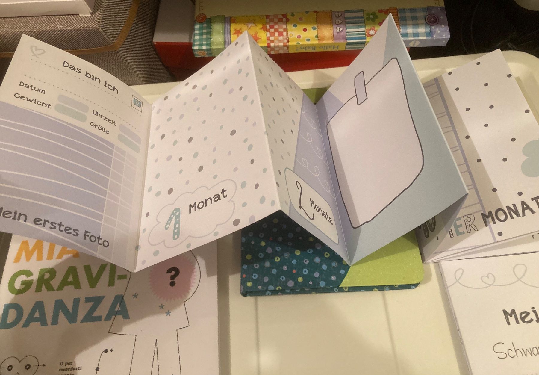 Libri: 2x Erinnerungsbüchlein/Leporello – Nuovo (secondo la descrizione) da Soglio venduto da 111Luna111 1