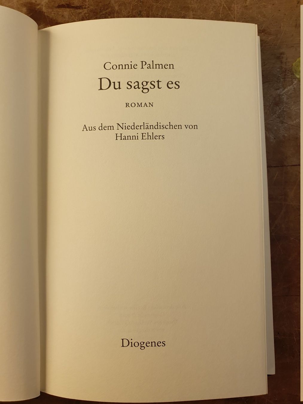 Libri: Du sagst es - Connie Palmen – Usato da Zürich venduto da loosebone 2
