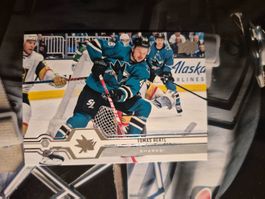 NHL Tomas Hertl San Jose Sharks