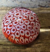 Papiergewicht Murano Glas Millefiori rot weiss guter Zustand