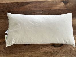 Sofakissen, 25x50cm, 100% Baumwolle!
