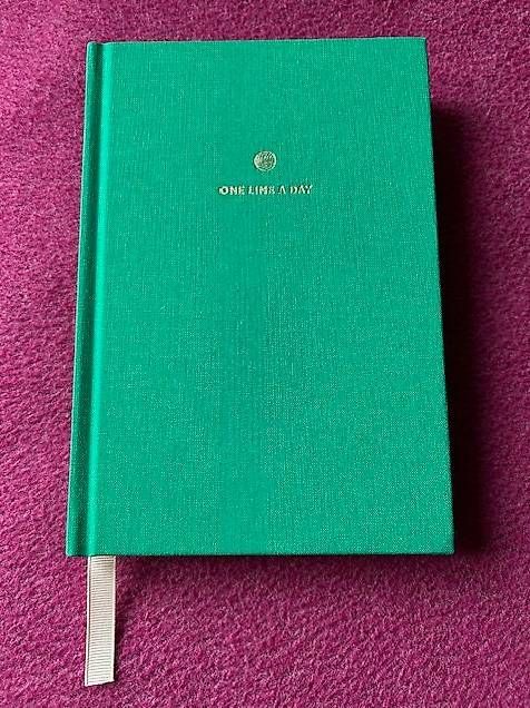 Libri: Carnet intime sur 5 ans -  Idée cadeau ! – Usato da Colombier VD venduto da DENYSE01