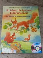 So leben die kleinen Eichhörnchen
