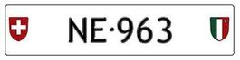 Plaque auto NE 963