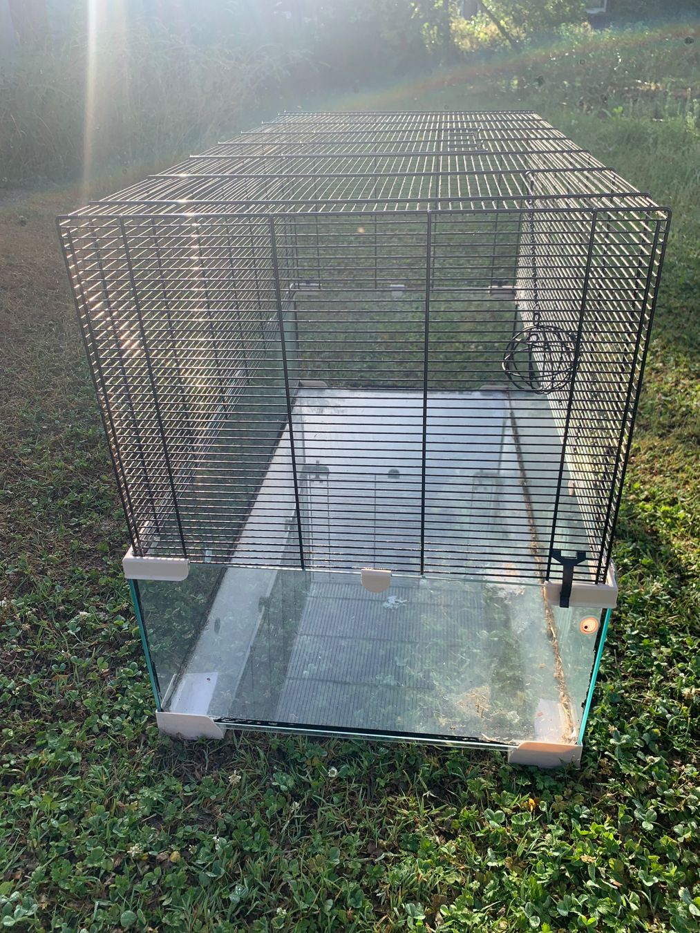 Gabbie, trasporto & Sicurezza: Glas Hamsterkäfig/Nagerheim – Usato da Seuzach venduto da steven_mueller01 7