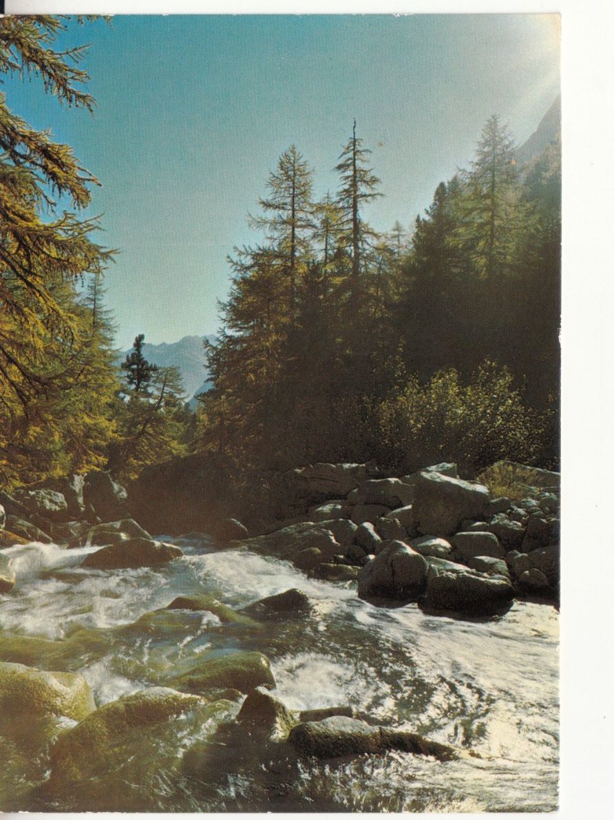 Ansichtskarten: Motivkarte Herbst 1987 – Gebraucht aus Bürglen TG von StampGraf