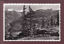 MONTANA-VERMALA