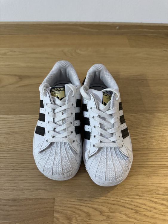 Kinder adidas Superstar sneaker Gr 28 Kaufen auf Ricardo