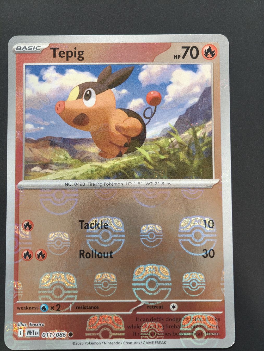 Pokémon Carte collezionabili: Tepig Masterball 011/086 EN – Nuovo (secondo la descrizione) da Therwil venduto da Cordachu_Trade