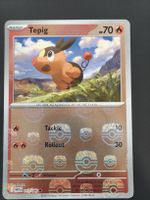 Tepig Masterball 011/086 EN