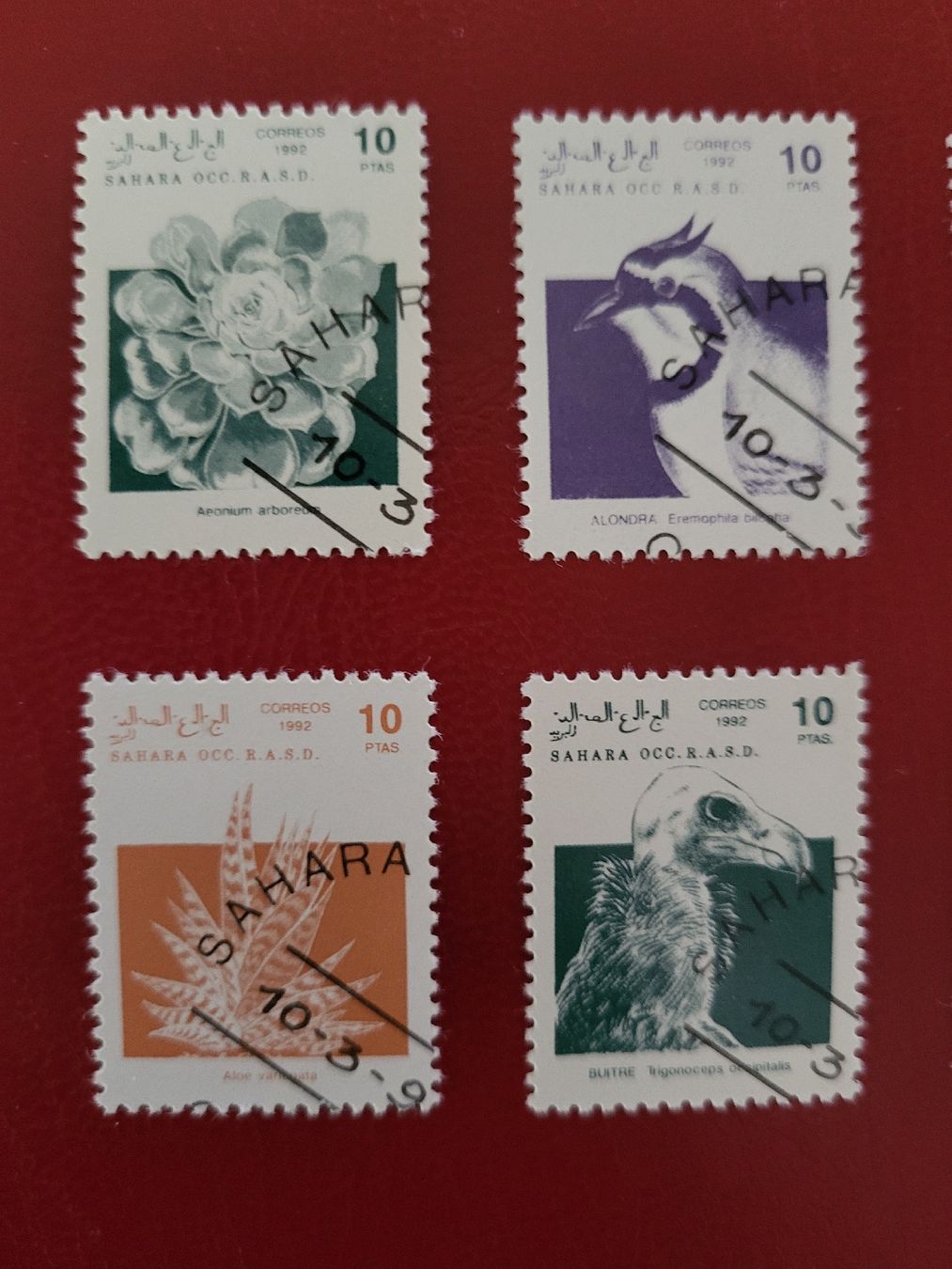 Alle Briefmarken: 1992, 8 Briefmarken aus Westsahara – Gebraucht aus stäfa von brandy66 1