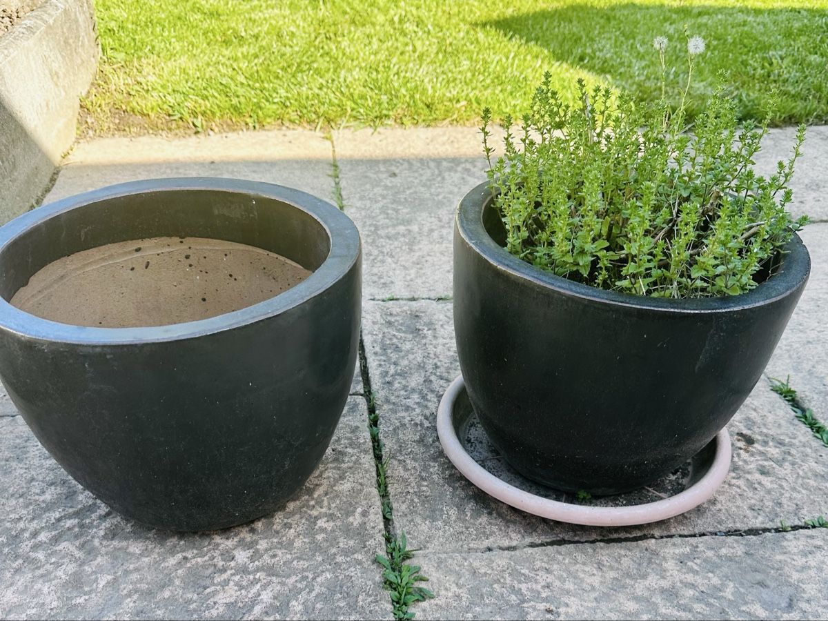 Blumentöpfe: Blumentopf aus Keramik x 2 – Gebraucht aus Volketswil von Frenc77