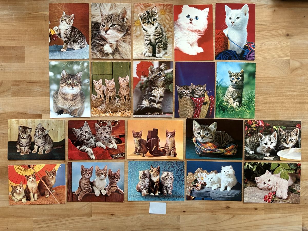 Cartoline postali: 20 AK mit Katzen Motiv – Usato da Rümlang venduto da Kartenpost1