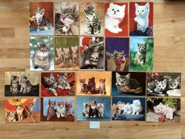 20 AK mit Katzen Motiv