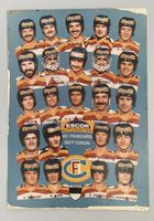 Photo - Eishockey, Portraitphotos HC Fribourg-Gottéron, FR