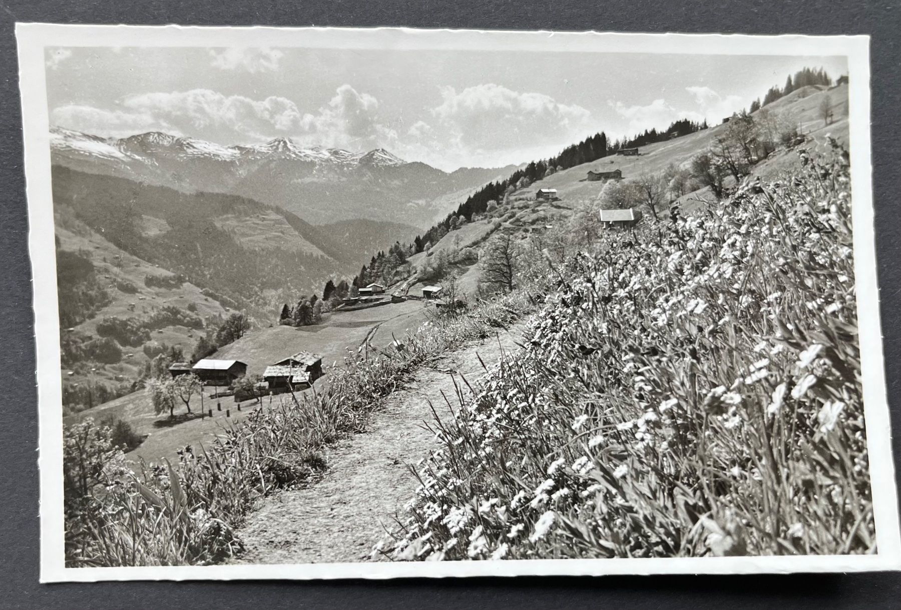 Cartoline postali: Pany / Rongellia, ca. 1940 – Usato da Wabern venduto da DaxKarten-75