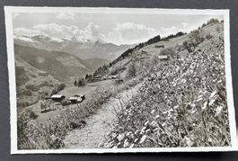 Pany / Rongellia, ca. 1940
