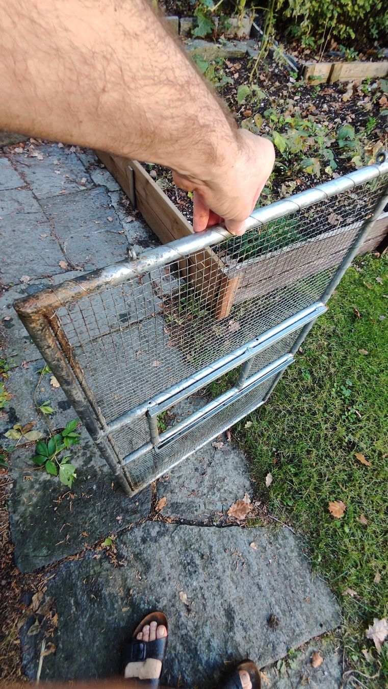 Gabbie, trasporto & Sicurezza: Freiluftgehege Kaninchen – Usato da Zürich venduto da mollscho 5