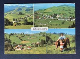 AK Schwarzenberg