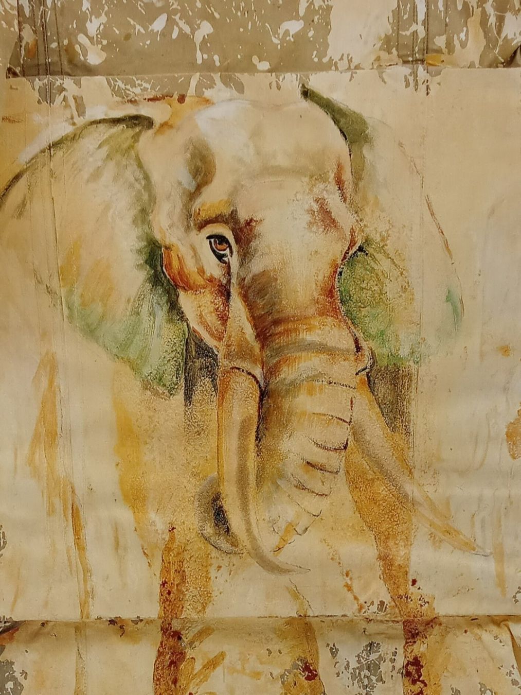 Foto & Immagini: Kunstdruck Elefant auf Plache gerahmt – Usato da Suhr venduto da Restwert_Suhr 1