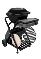 Gasgrill Outdoor Chef Ambri 480 G