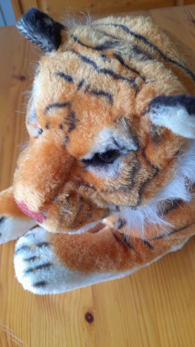 Giocattoli: Plüschtiere Tiger – Usato da Nesslau venduto da Churfirsten08 1
